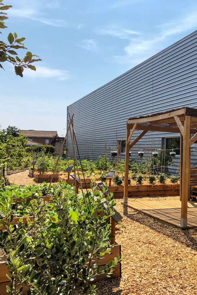 Jardin-Potager-07-2019