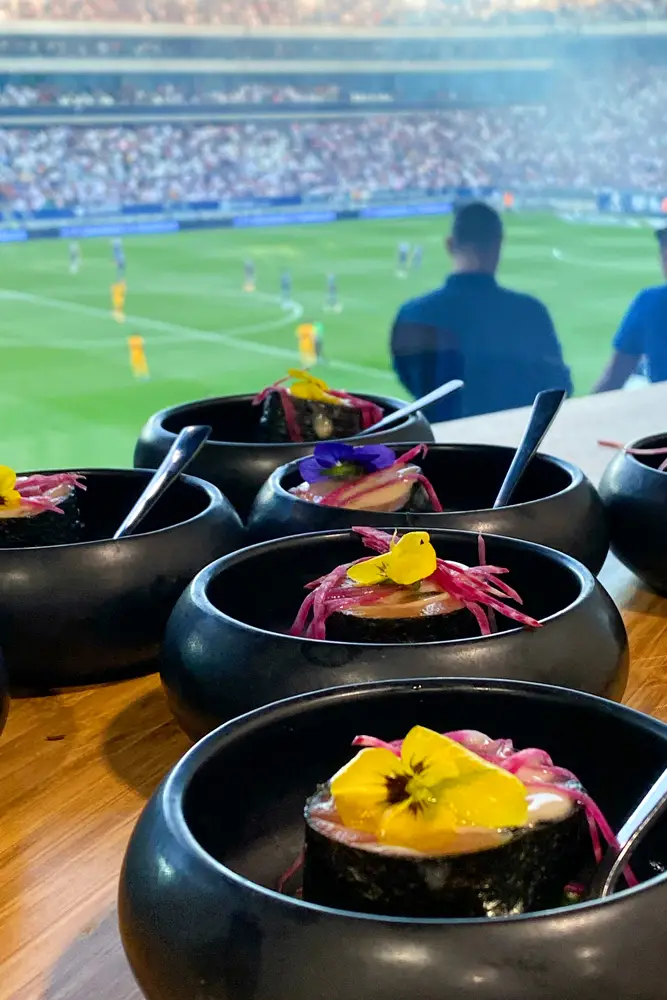 logesVIP-girondins-de-bordeaux