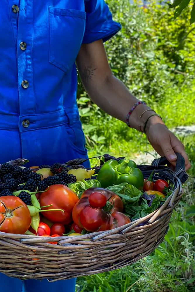 recolte-panier-jardin